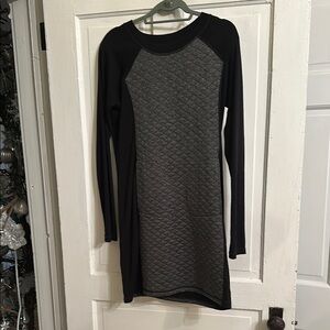 Smartwool Silver Long Sleeve Raglan Dress